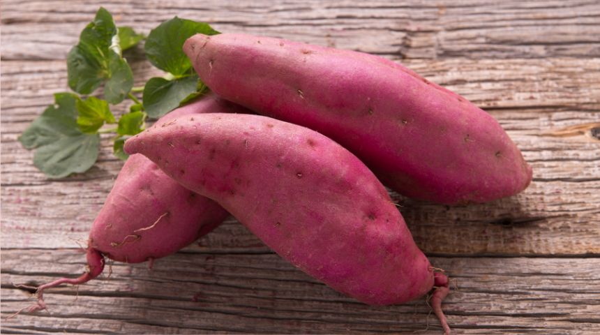 さつまいもの保存方法をマスターしよう!冷凍・冷蔵・常温それぞれの方法、保存期間の目安を紹介!