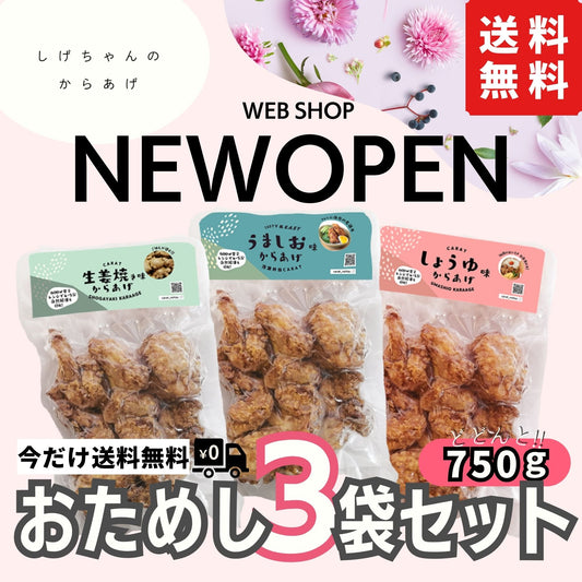 送料無料おためしセット/今だけ3000円送料無料/3袋セット/20%オフクーポン同封/うましお味からあげ/しょうゆ味からあげ/生姜焼き味からあげ