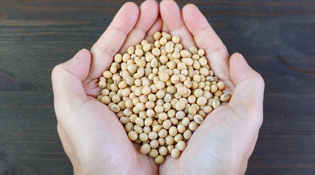 食べて美肌！「イソフラボン」でハリをキープ！